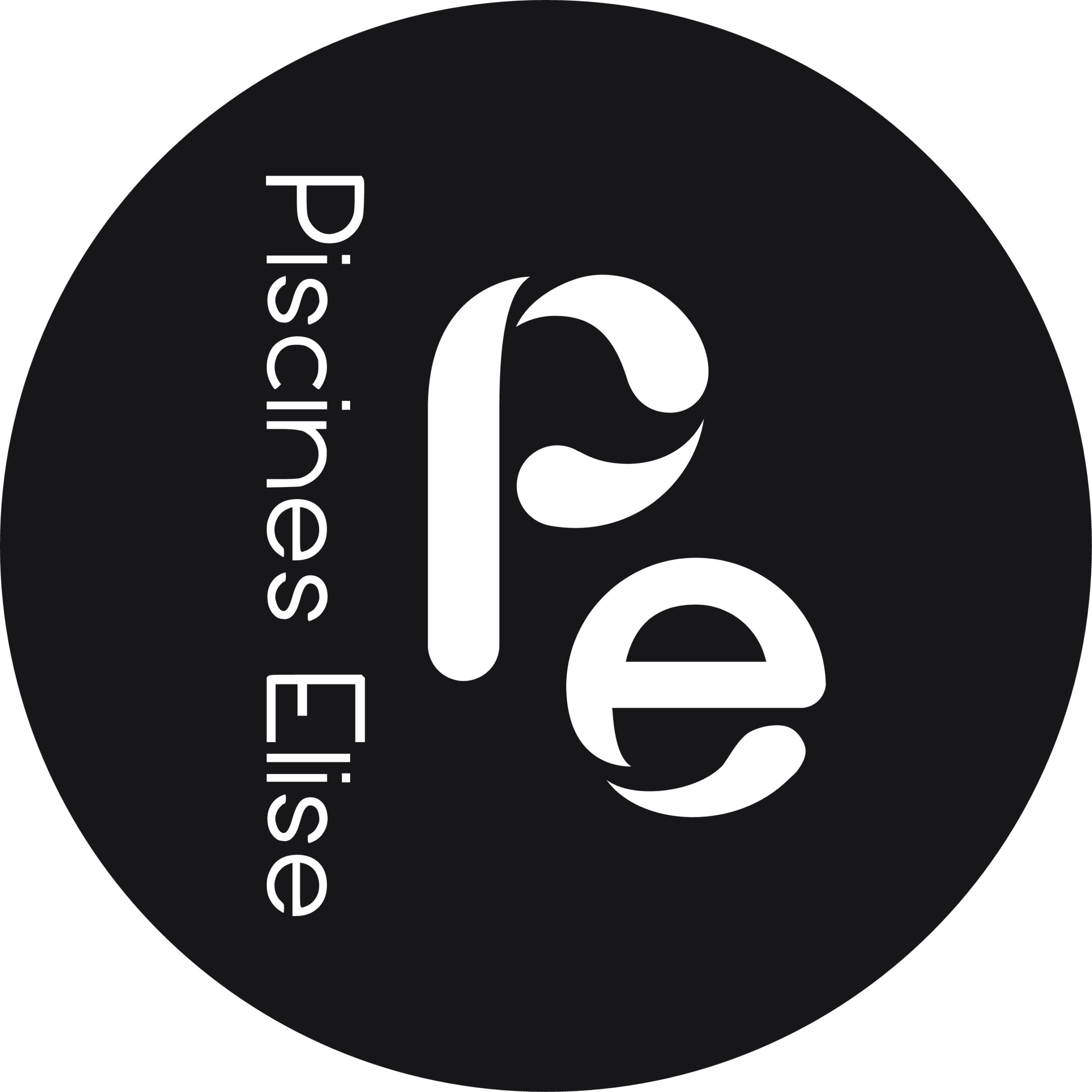 Icon accès au Site web Piscines Elise
