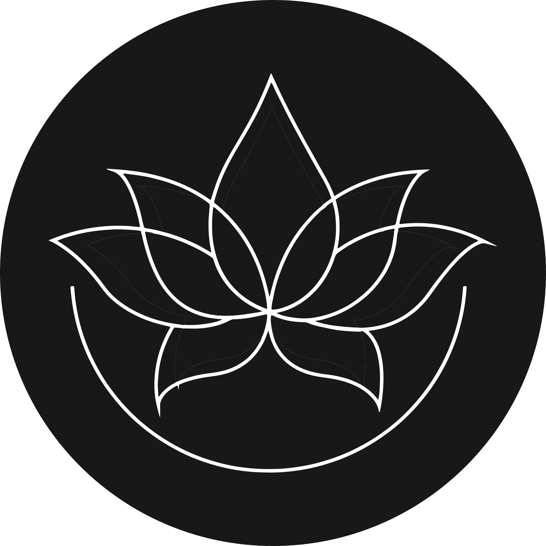Icon accès au Site web Sonia Sakki