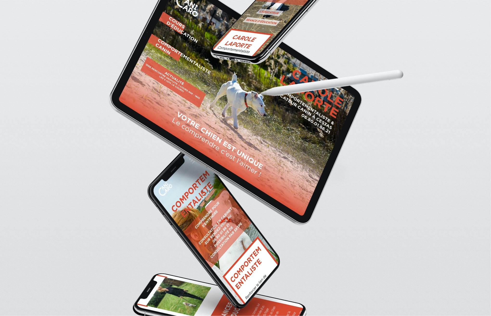 Identité Visuelle Canicaro creation site web website