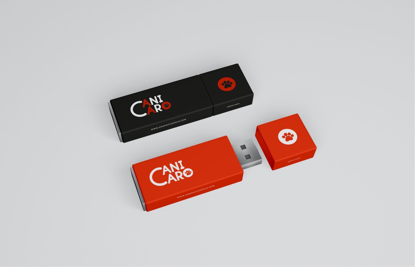 Identité Visuelle Canicaro logo clefs usb