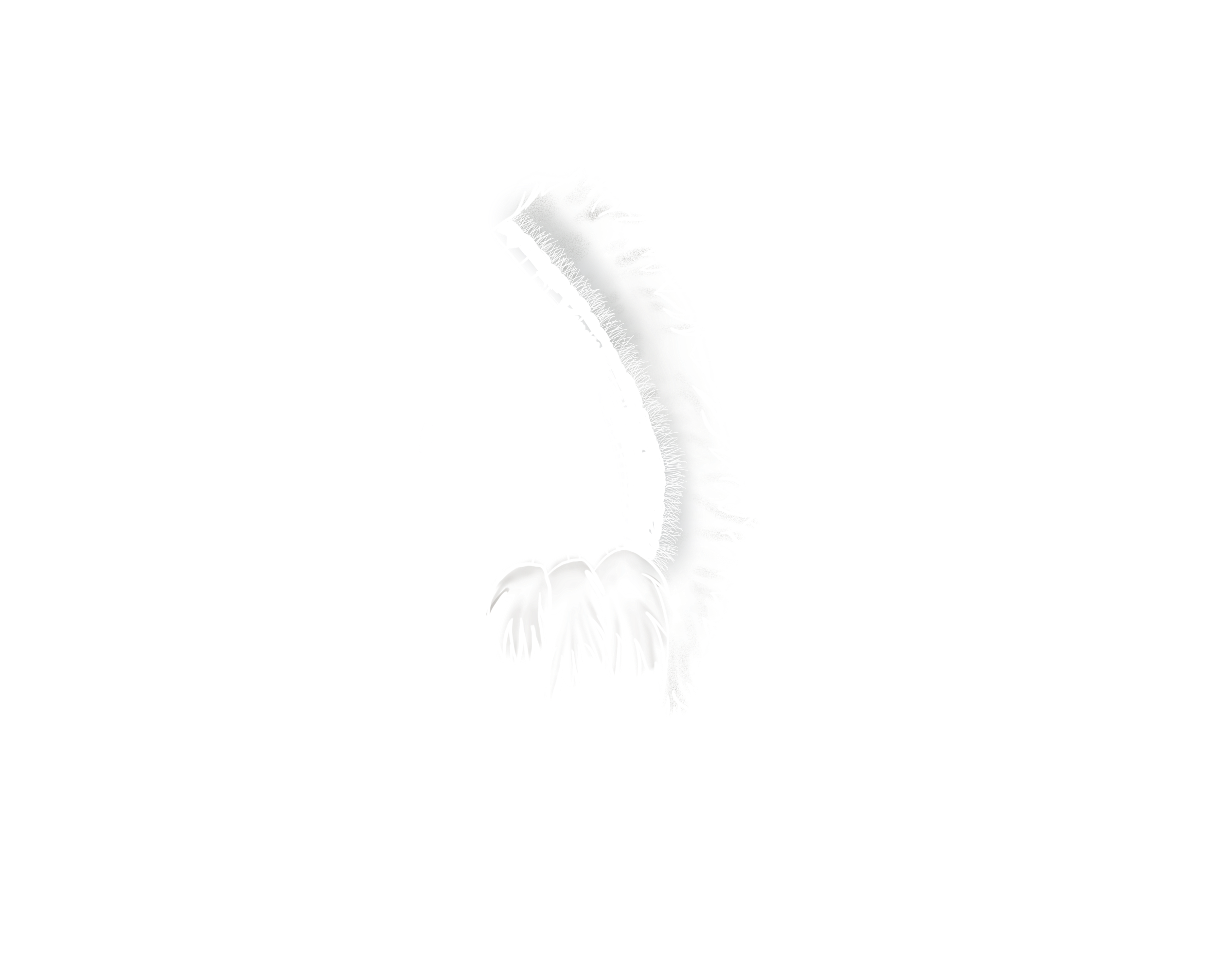 Illustration-service Service