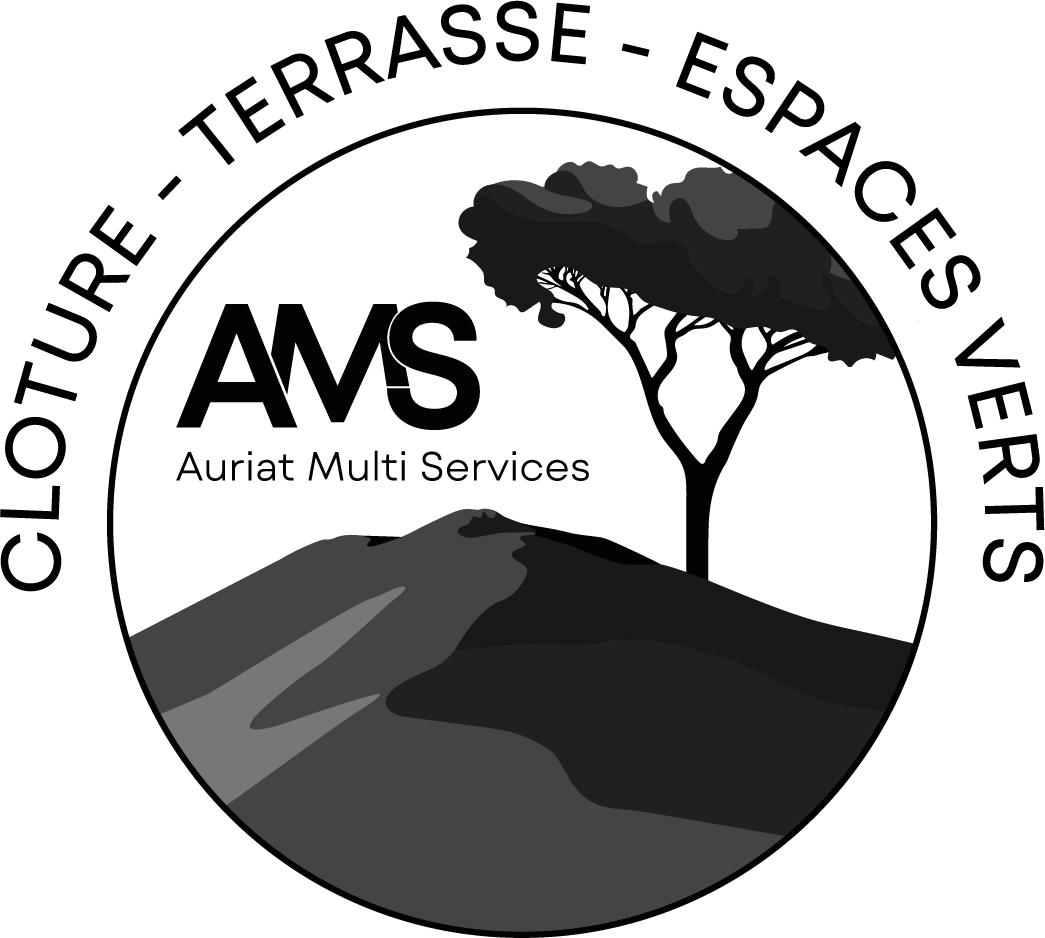 Logo AMS - Noir