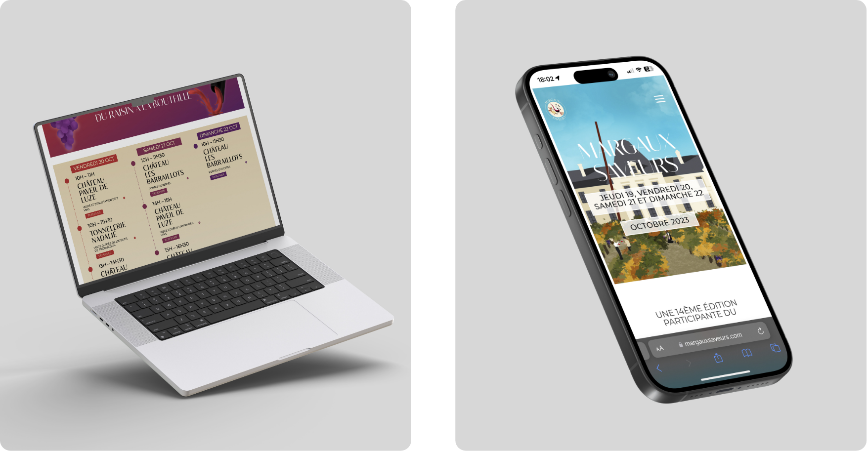 ms-design-web-mise-en-situation